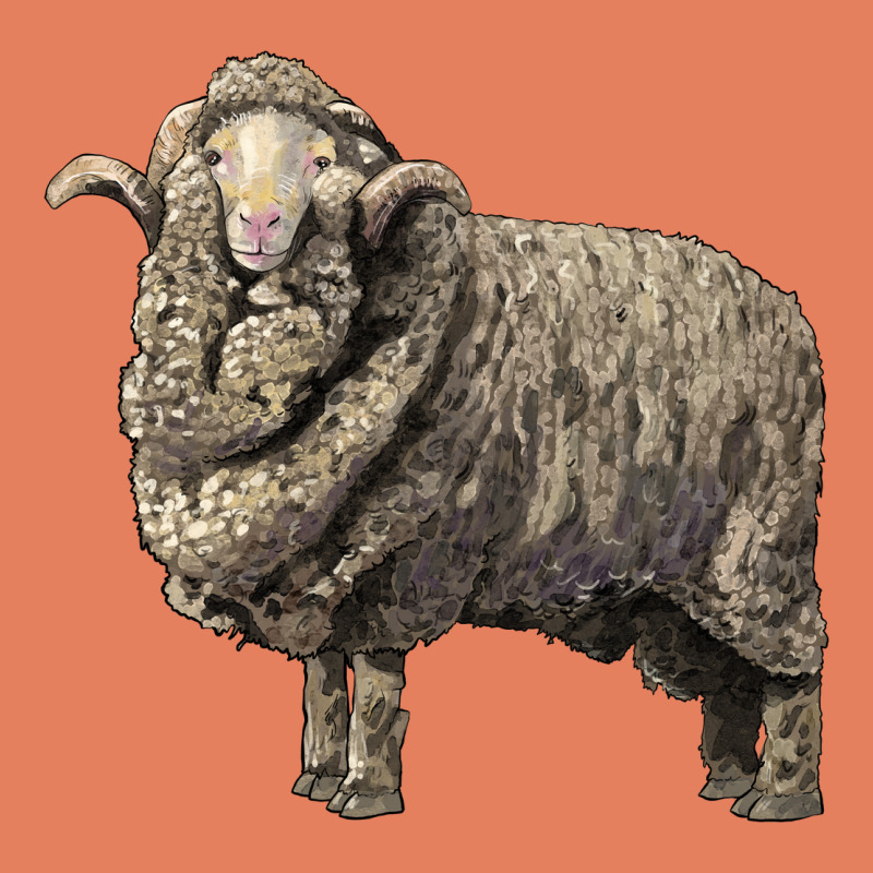 Merino Wool Sheep Classic Tee by LillyAllenDesigns | Teevron