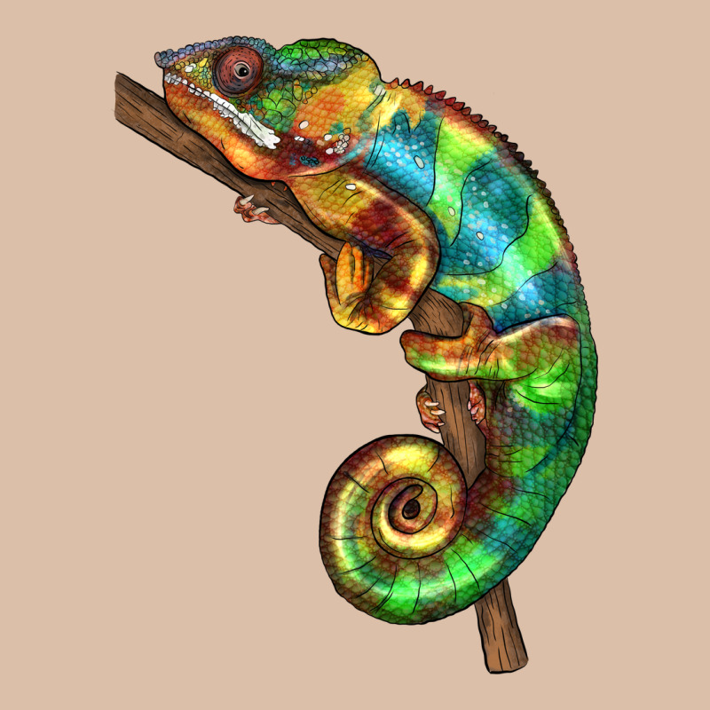 Chameleon Lizard Illustrations Urban Heavy Tee by LillyAllenDesigns | Teevron