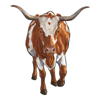 longhorn cow | Teevron