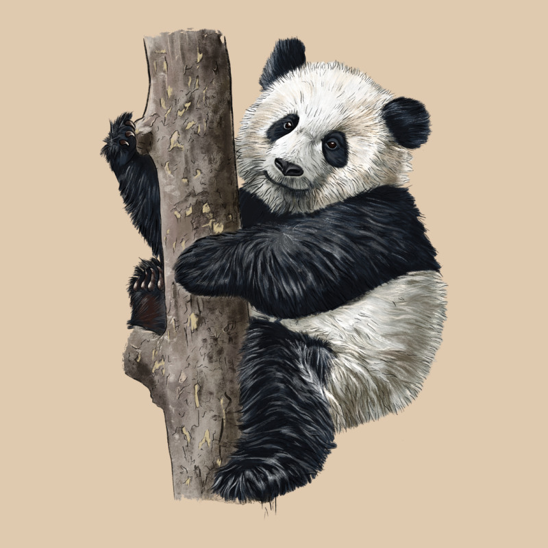 Giant Panda Heavyweight Sweatshirt by LillyAllenDesigns | Teevron