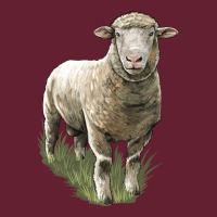 Dorset Sheep Classic Tee | Teevron