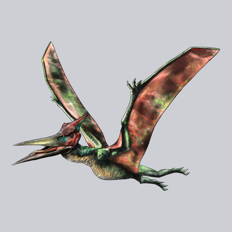 Pteranodon Heavyweight Sweatshirt by LillyAllenDesigns | Teevron