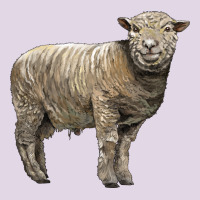 Southdown Sheep Classic Tee | Teevron