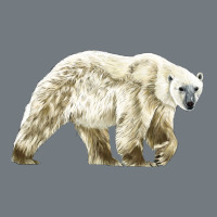 Polar Bear Heavyweight Sweatshirt | Teevron