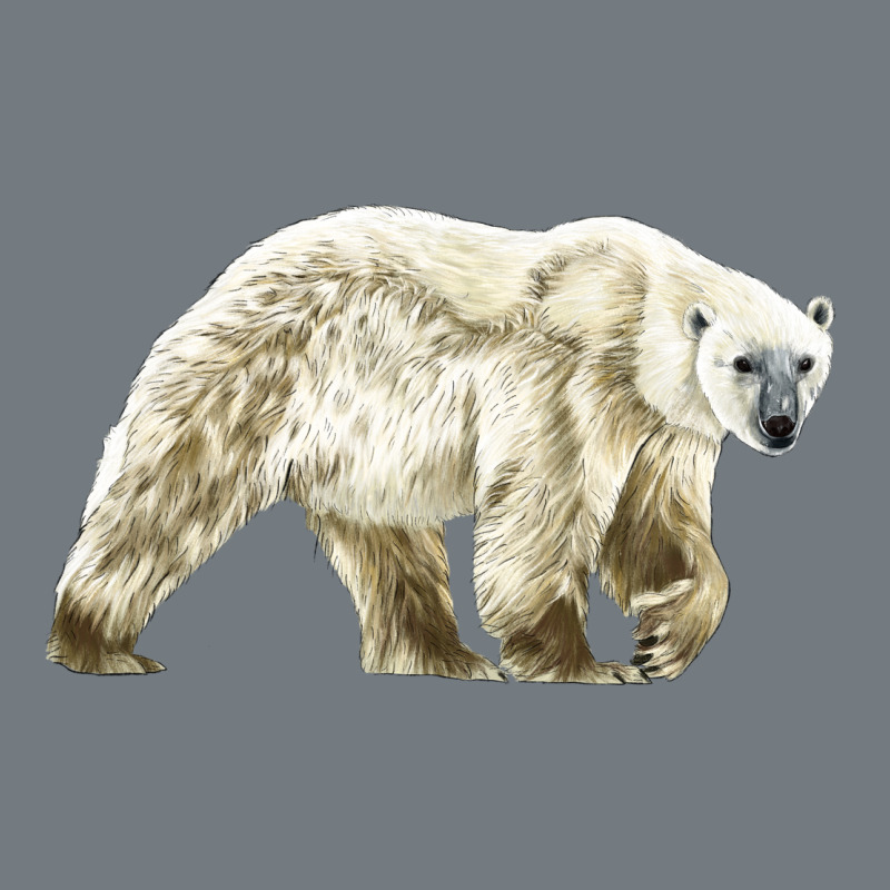 Polar Bear Heavyweight Sweatshirt by LillyAllenDesigns | Teevron