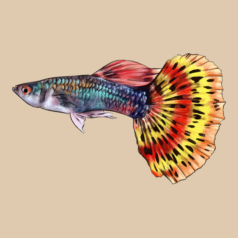 Guppy Fish Heavyweight Sweatshirt by LillyAllenDesigns | Teevron
