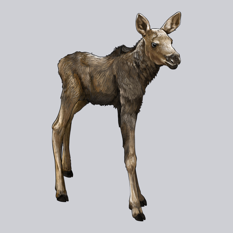 Moose Fawn Deer Classic Tee by LillyAllenDesigns | Teevron