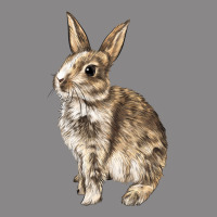 Rabbit Vintage Tee | Teevron