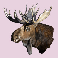 Moose Buck Deer Head Classic Tee | Teevron