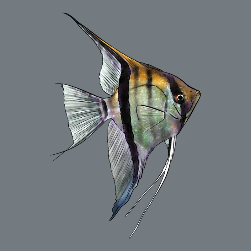 Angelfish Heavyweight Sweatshirt by LillyAllenDesigns | Teevron