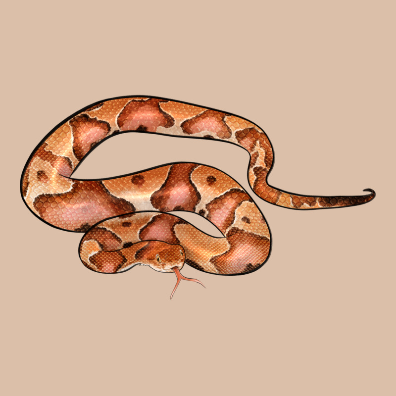 Copperhead Snake Illustrations Urban Heavy Tee by LillyAllenDesigns | Teevron