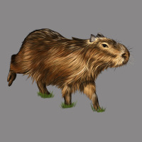 Capybara Vintage Tee | Teevron