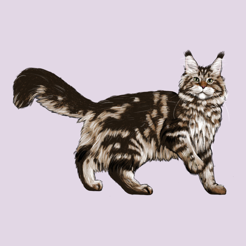 Maine Coon Cat Classic Tee by LillyAllenDesigns | Teevron
