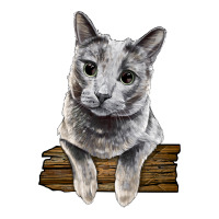 Russian Blue Cat Face | Teevron