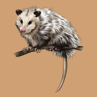 Opossum Vintage Tee | Teevron