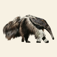 Anteaters Vintage Tee | Teevron
