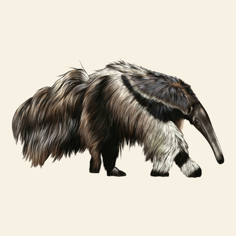 Anteaters Vintage Tee by LillyAllenDesigns | Teevron