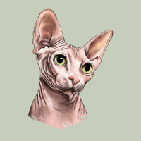 Sphynx Cat Classic Tee | Teevron