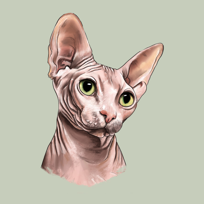 Sphynx Cat Classic Tee by LillyAllenDesigns | Teevron