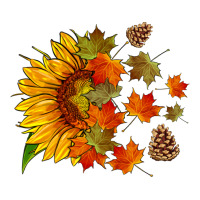 sunflower and autumn leaves | Teevron