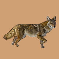 Coyote Vintage Tee | Teevron