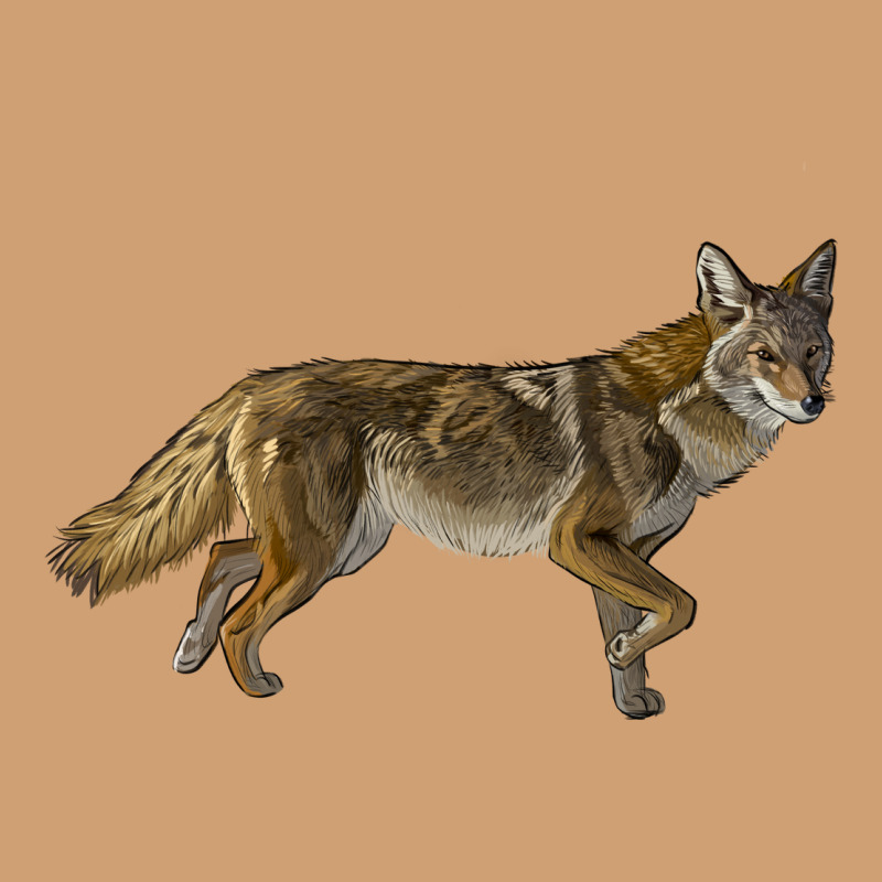 Coyote Vintage Tee by LillyAllenDesigns | Teevron