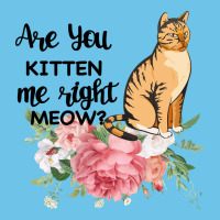 Are You Kitten Me Right Meow Premium Sweatshirt | Teevron