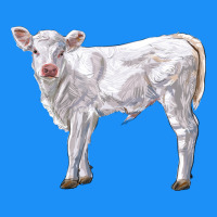 Charolais Calf Classic Tee | Teevron