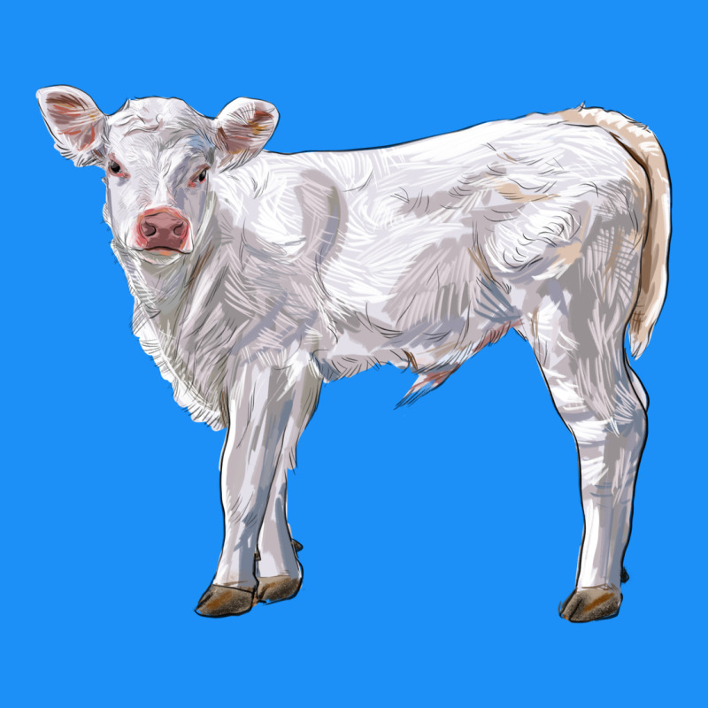 Charolais Calf Classic Tee by LillyAllenDesigns | Teevron