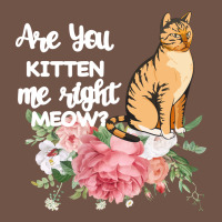 Cat Maine Coon Gift Kidding Kitten Meow Pussycat Premium Sweatshirt | Teevron