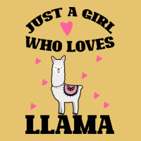 Llama Just A Girl Who Loves Llamas Premium Sweatshirt | Teevron