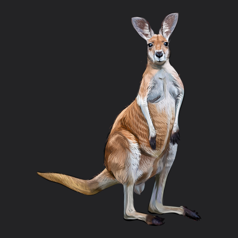 Kangaroo Vintage Tee by LillyAllenDesigns | Teevron