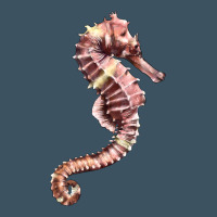 Pink Seahorse Urban Heavy Tee | Teevron