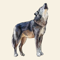 Wolf Vintage Tee | Teevron