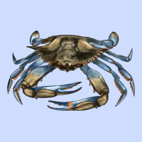 Crab Urban Heavy Tee | Teevron