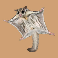 Sugar Glider Vintage Tee | Teevron