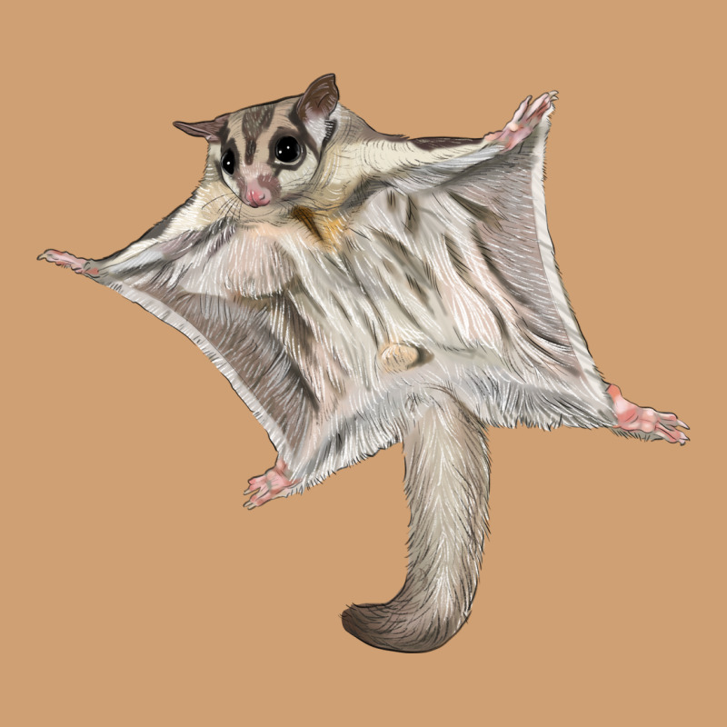 Sugar Glider Vintage Tee by LillyAllenDesigns | Teevron