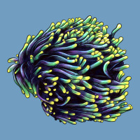 Sea Coral Urban Heavy Tee | Teevron