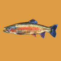 Rainbow Trout Urban Heavy Tee | Teevron