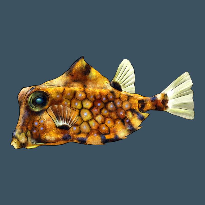 Humpback Turretfish Urban Heavy Tee by LillyAllenDesigns | Teevron