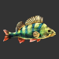 Perch Fish | Teevron