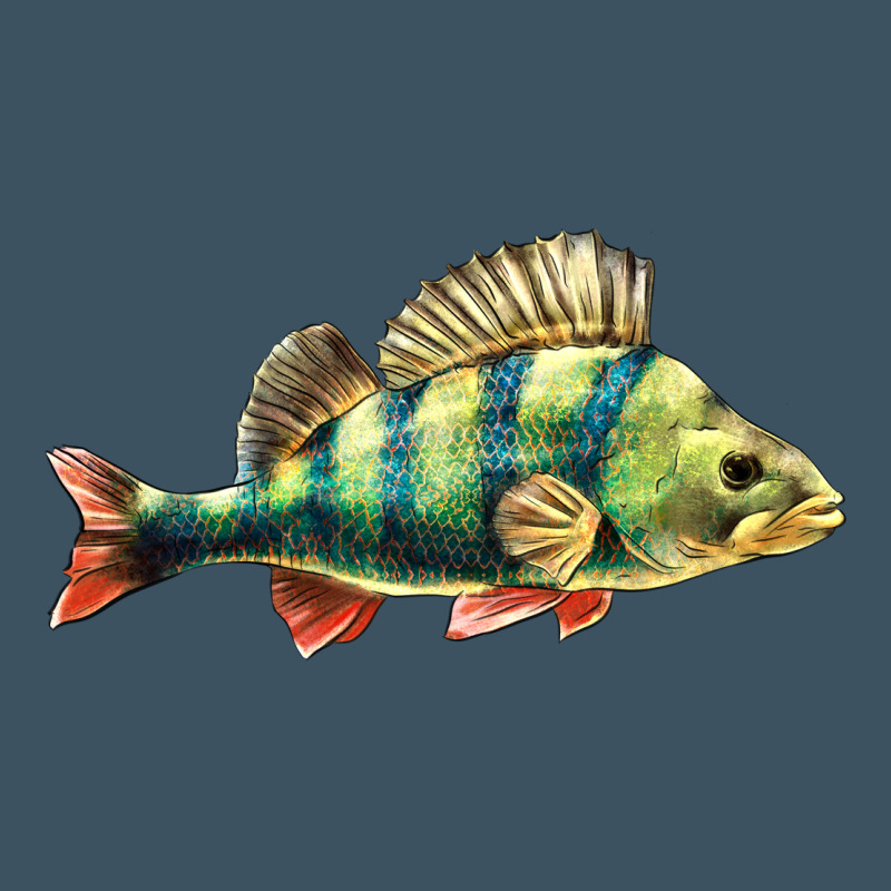 Perch Fish Urban Heavy Tee by LillyAllenDesigns | Teevron