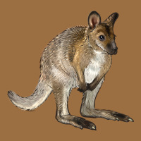 Hand Drawn Wallaby Animal Vintage Tee | Teevron