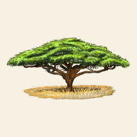 Acacia Tree Vintage Tee | Teevron
