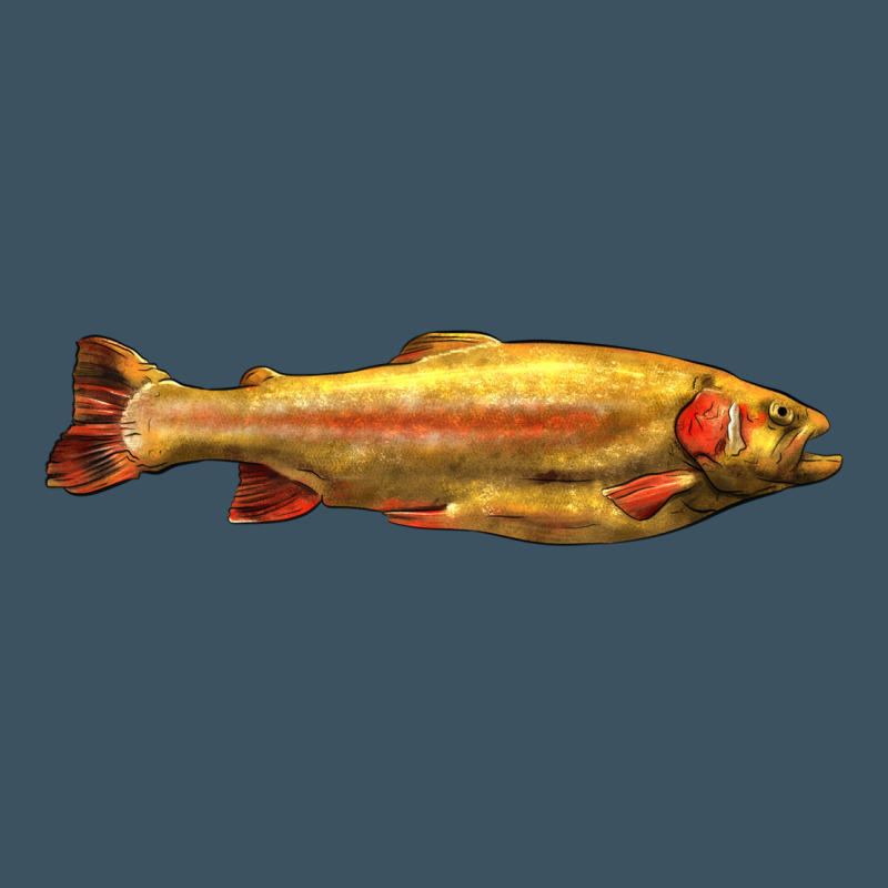 Golden Trout West Virginia Urban Heavy Tee by LillyAllenDesigns | Teevron