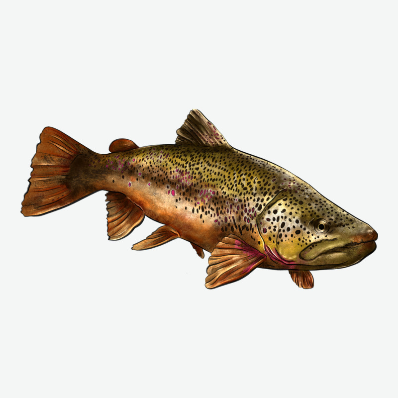 Brown Trout Urban Heavy Tee by LillyAllenDesigns | Teevron
