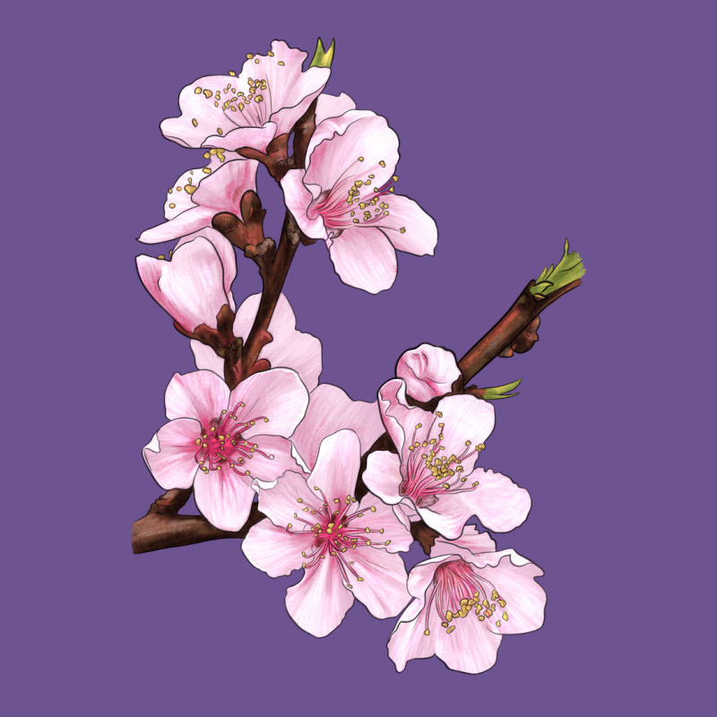 Peach Blossom Vintage Tee by LillyAllenDesigns | Teevron