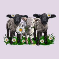 Baby Sheeps With Daisies Classic Tee | Teevron