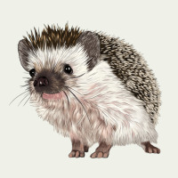 Hedgehog Illustrations Urban Heavy Tee | Teevron