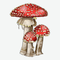 Autumn Mushroom Illustrations Urban Heavy Tee | Teevron